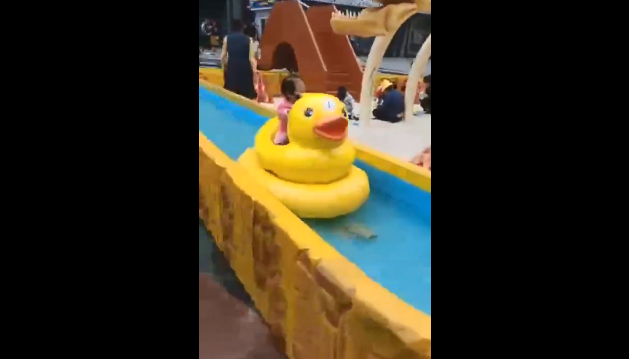 广东 东莞河池-视频案例