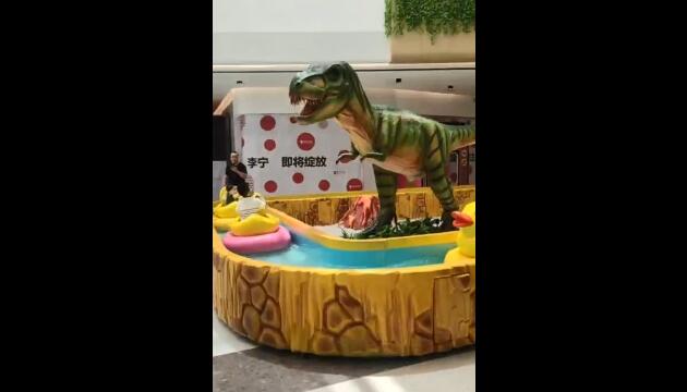 甘肃白银河池-视频案例